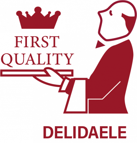 Delidaele Logo