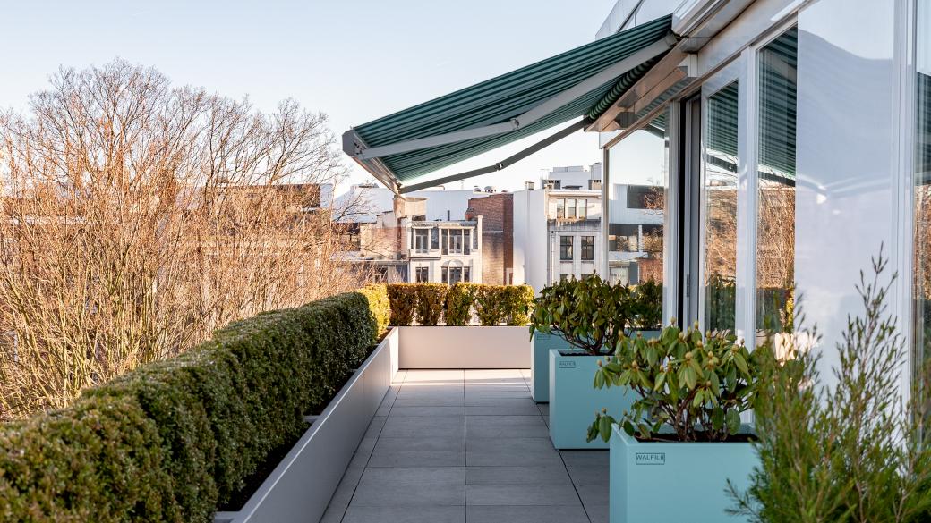 Terras