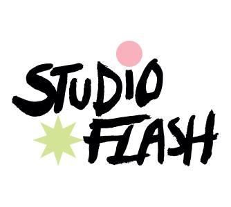 Logo Studio Flash