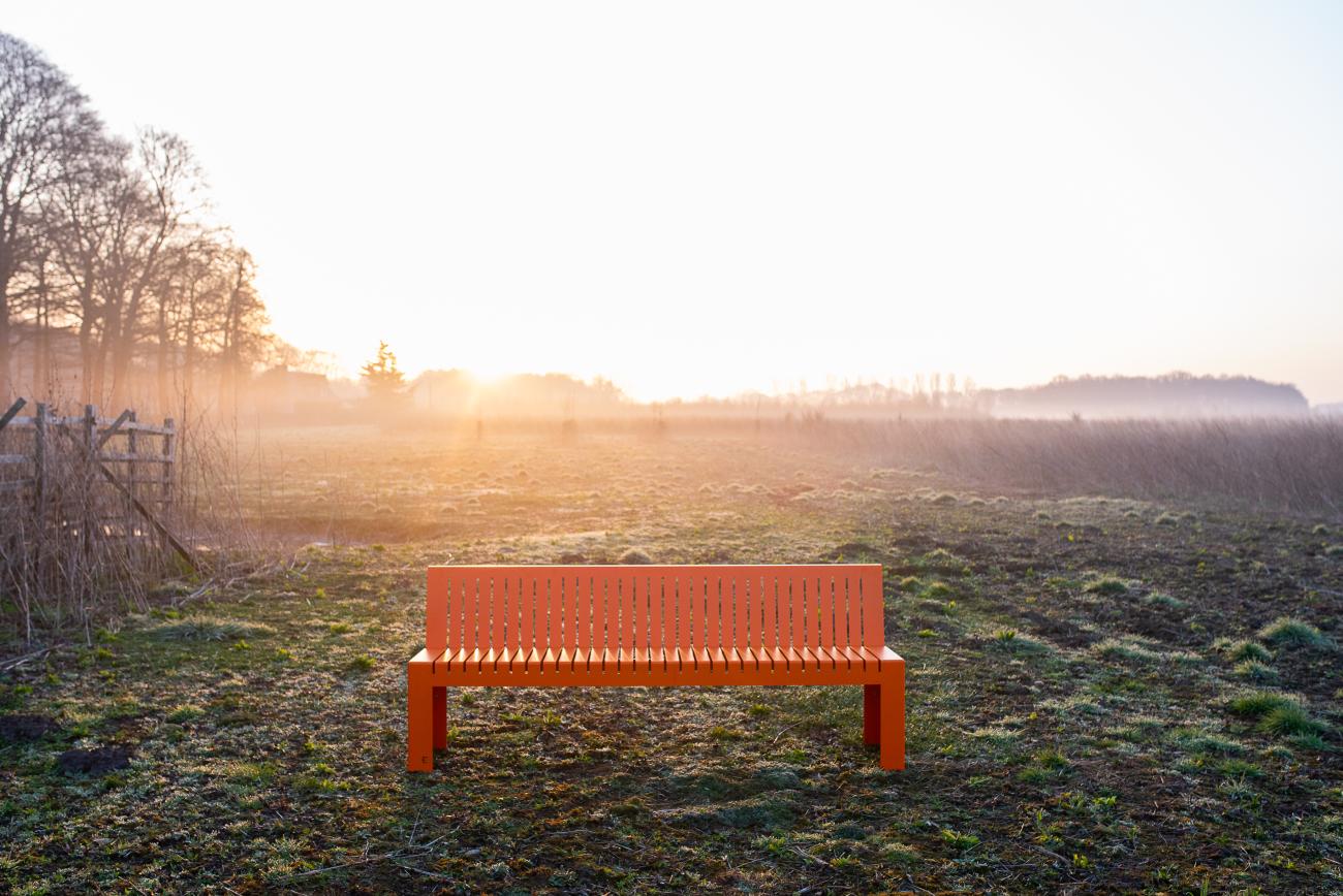 NIIGA TUINBANK MET OF ZONDER RUGLEUNING