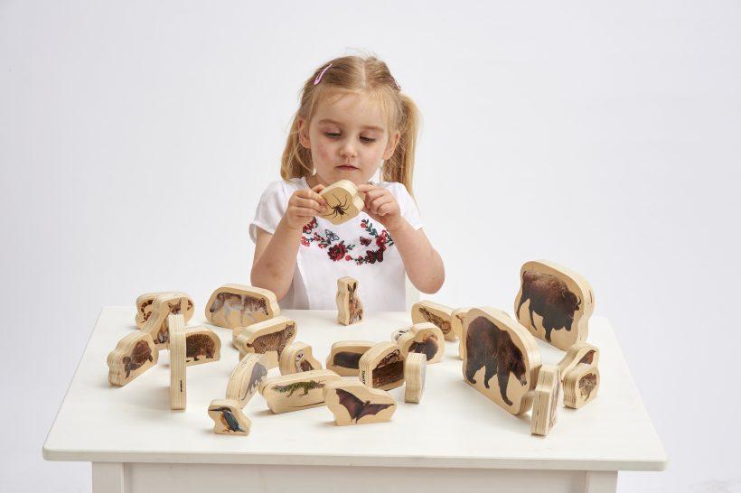 Houten blokken bosdieren print