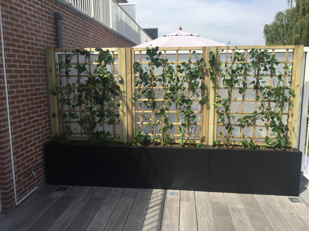 combinatie van 3 hedge plantenbakken. Balken vrij te kiezen, hout of metaal, raamwerk hout of metaal.