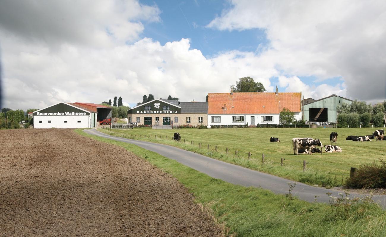 De kaasboerderij De Beauvoordse Walhoeve