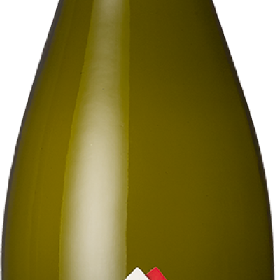 Zientje