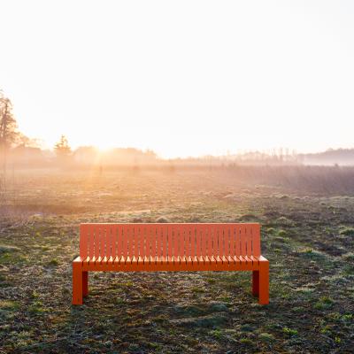 NIIGA TUINBANK MET OF ZONDER RUGLEUNING