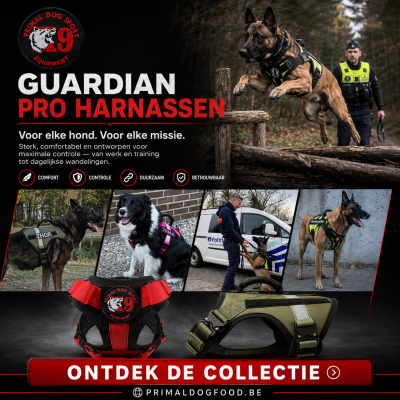 Guardian pro harnas