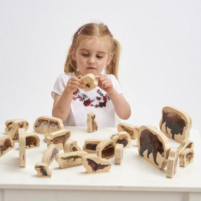 Houten blokken bosdieren print