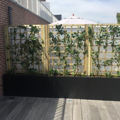 combinatie van 3 hedge plantenbakken. Balken vrij te kiezen, hout of metaal, raamwerk hout of metaal.